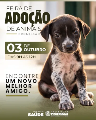 Feira de adoção responsável de animais em Promissão