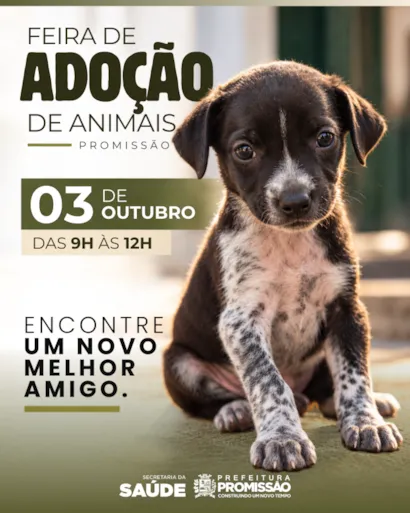 Feira de adoção responsável de animais em Promissão