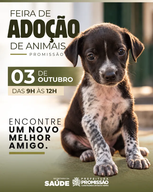 Feira de adoção em Promissão acontece em 3 de outubro, das 9h às 12h, no Pátio do Hirata, com animais vermifugados para adoção responsável.