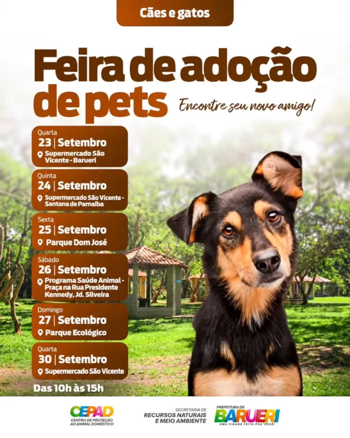 Feira de adoção em Barueri acontece em 30 de setembro, das 10h às 15h, no Supermercado São Vicente, com cães e gatos à espera de um lar.