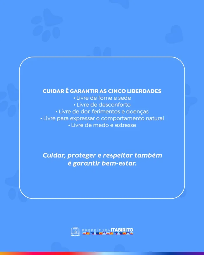 Feira de adoção em Itabirito na Semana Animal - imagem 3