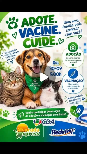 Adoção de cães e gatos em Natal nesta quarta-feira