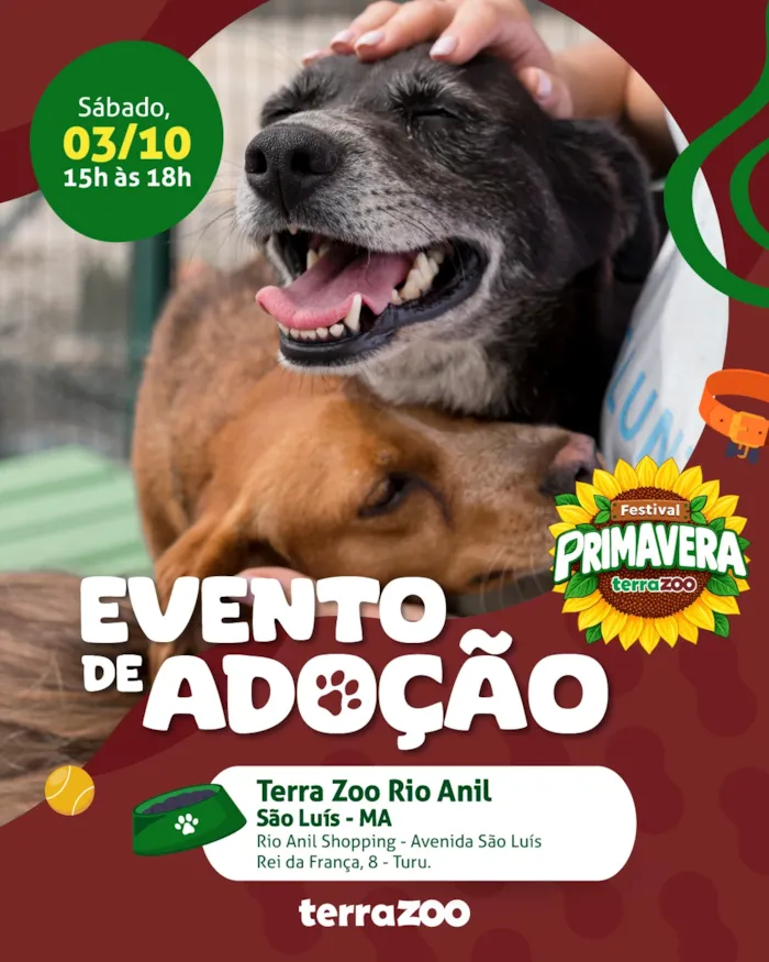 Evento de adoção em São Luís acontece em 3 de outubro, das 15h às 18h, no Rio Anil Shopping, com cães e gatos à espera de um lar.