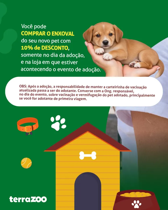 Evento de adoção de cães e gatos em São Luís - imagem 3