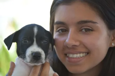 Adoção de cães e gatos em Maricá até quinta
