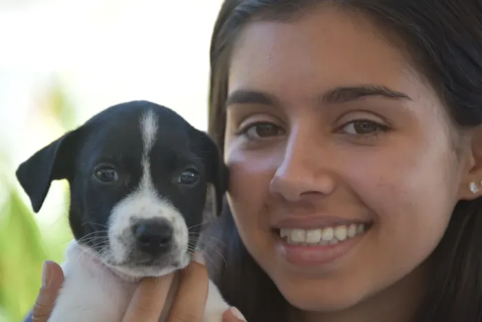 Campanha de adoção de cães e gatos em Maricá ocorre até 1º de outubro, das 9h às 15h, no Shopping Boulevard, com animais resgatados.