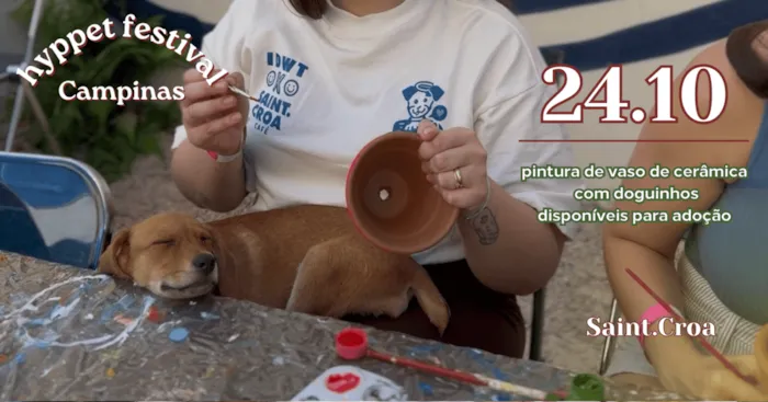 Vivência de pintura com filhotes para adoção em Campinas, dia 24 de outubro, das 9h às 18h, com aulas e contato com a ONG.