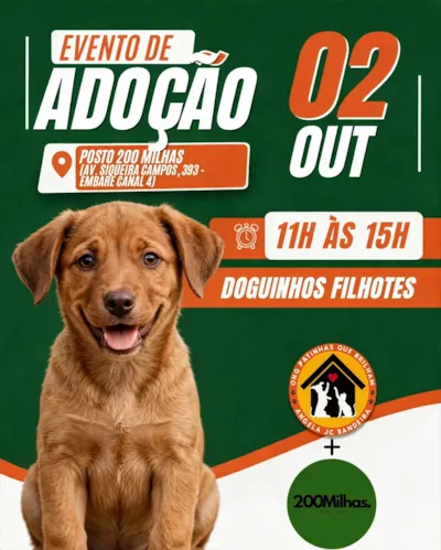 Evento de adoção de filhotes acontece em Santos