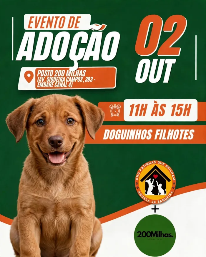 Evento de adoção em Santos ocorre em 2 de outubro, das 11h às 15h, com filhotes, entrevista e orientação para uma adoção responsável.