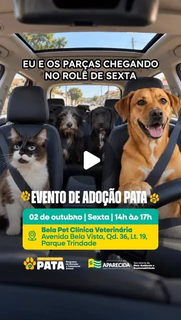 Evento de adoção em Aparecida ocorre em 2 de outubro, das 14h às 17h, com cães e gatos à espera de uma nova família.