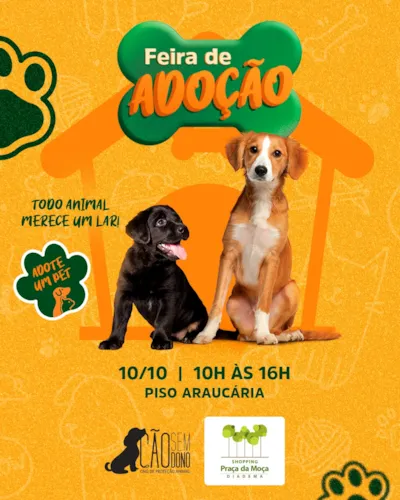 Feira de adoção no Shopping Praça da Moça, Diadema