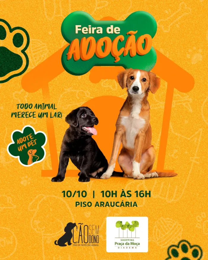 Feira de adoção em Diadema acontece em 10 de outubro, das 10h às 16h, no Shopping Praça da Moça, com pets à espera de um lar.
