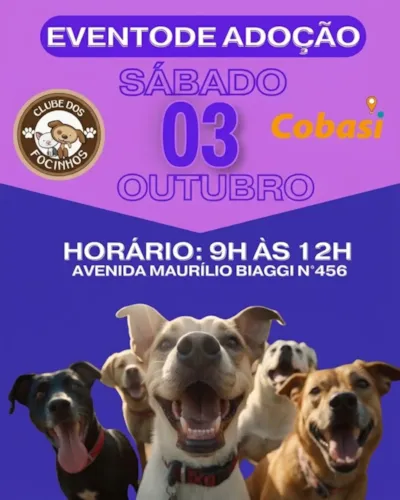 Evento de adoção em Ribeirão Preto: Clube dos Focinhos