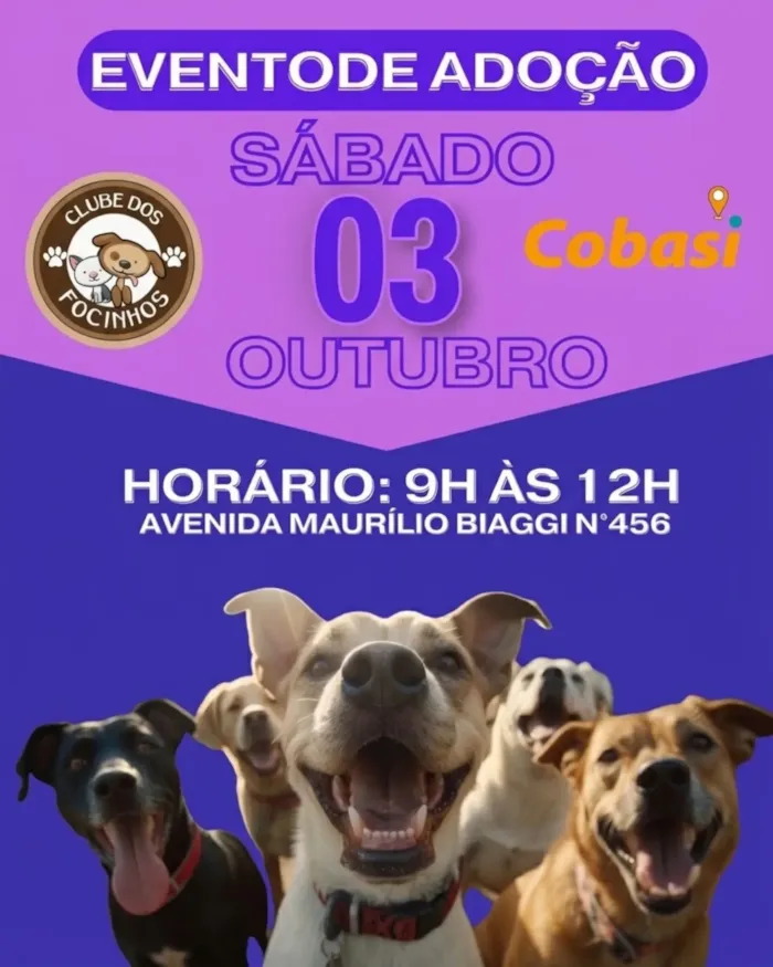 Evento de adoção em Ribeirão Preto acontece em 3 de outubro, das 9h às 12h, com cães à espera de um lar carinhoso.