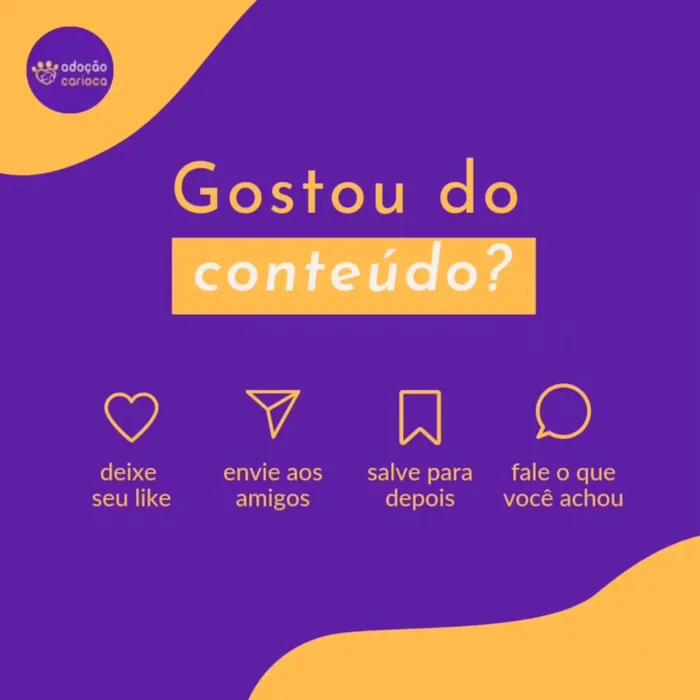 Feira de adoção em Rio de Janeiro no Shopping - imagem 2
