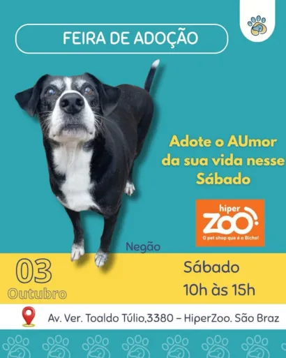 Feira de adoção em Curitiba no HiperZoo São Braz