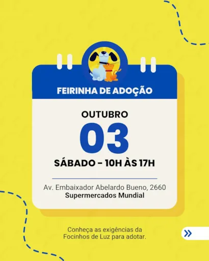 Feirinha de adoção no Rio de Janeiro acontece em 3 de outubro, das 10h às 17h, com gatos e orientações para adoção responsável.