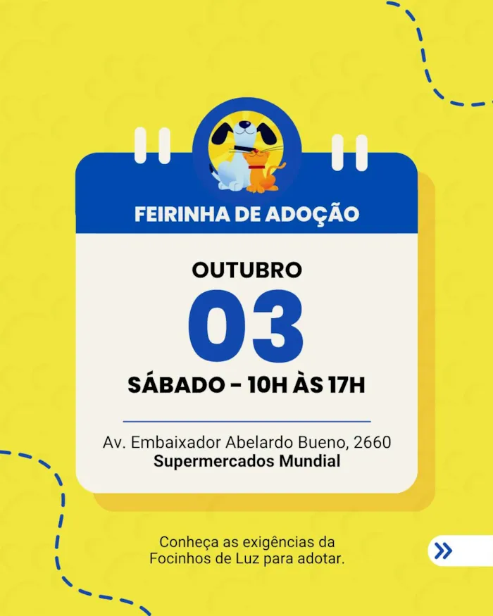Feirinha de adoção no Rio de Janeiro acontece em 3 de outubro, das 10h às 17h, com gatos e orientações para adoção responsável.
