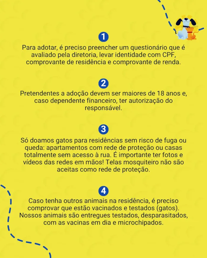 Feira de adoção no Rio de Janeiro: outubro - imagem 2
