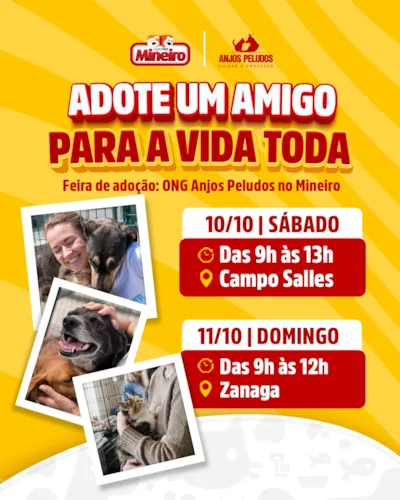 Feira de adoção em Americana: Adote um Amigo 2026