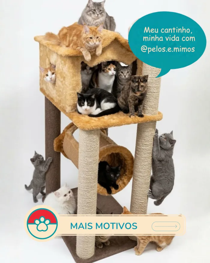 Feira de adoção no Conjunto Nacional em Brasília - imagem 5