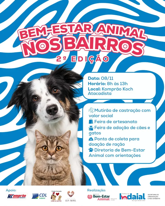 Feira de adoção em Indaial acontece em 8 de novembro, das 8h às 13h, com cães, gatos, castração social e orientações.