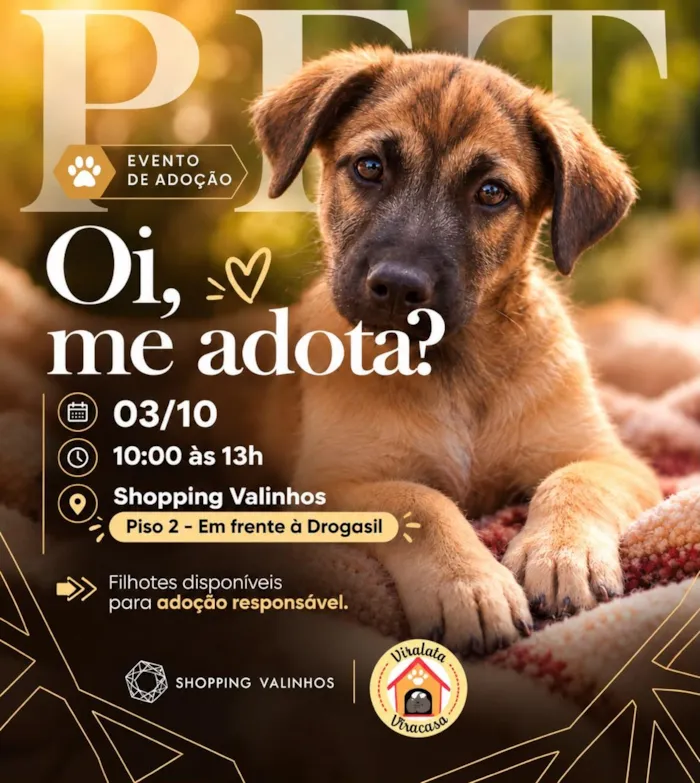 Evento de adoção em Valinhos acontece em 3 de outubro, das 10h às 13h, no Shopping Valinhos, com filhotes disponíveis.
