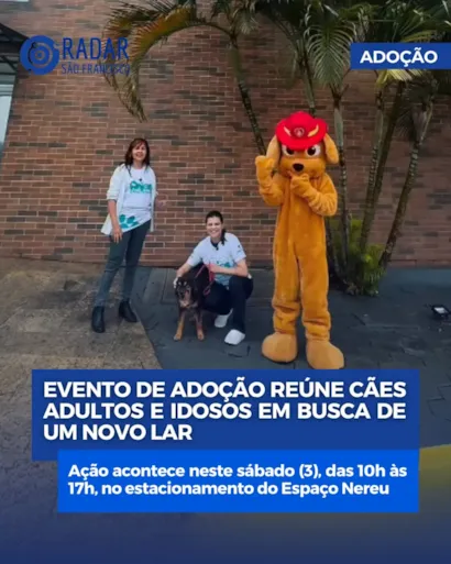 Evento de adoção em São Francisco do Sul ocorre em 3 de outubro, das 10h às 17h, com cães adultos e idosos à espera de um lar.