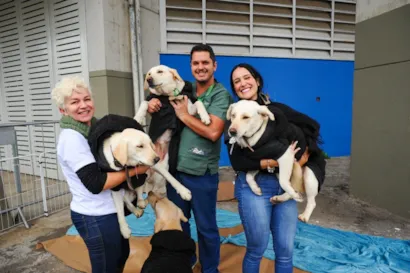 Evento de adoção em Betim acontece em 3 de outubro, das 9h às 13h, com cães e gatos acompanhados pela equipe da Sepa.
