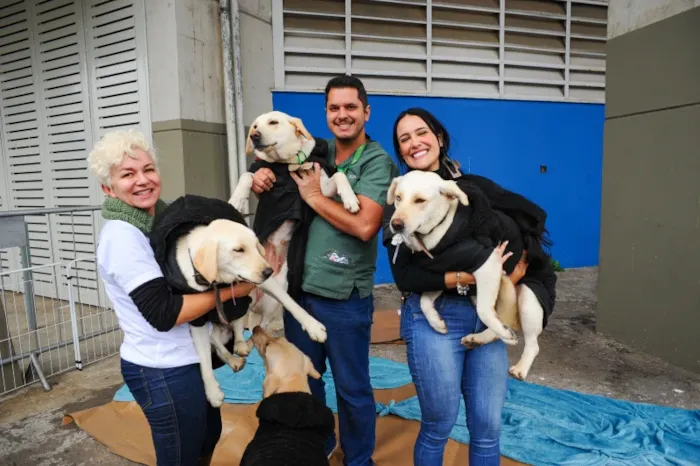 Evento de adoção em Betim acontece em 3 de outubro, das 9h às 13h, com cães e gatos acompanhados pela equipe da Sepa.
