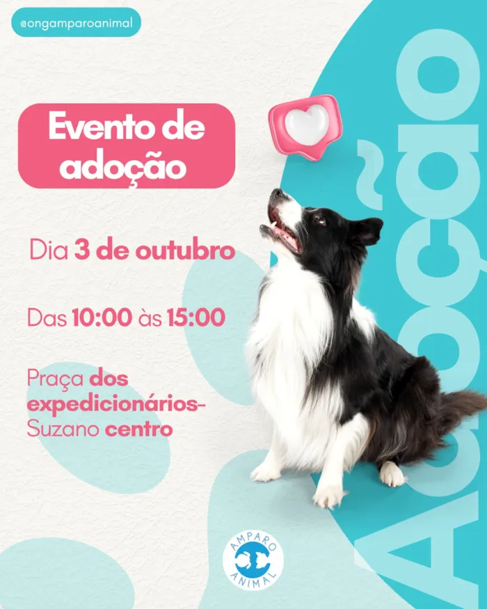 Evento de adoção em Suzano acontece em 3 de outubro, das 10h às 15h, com cães e gatos à espera de uma família responsável.