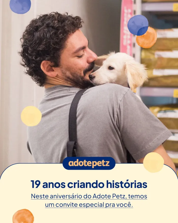 Cães e gatos esperam adoção em São Paulo no dia 3 de outubro, das 14h às 18h, com atividades gratuitas e brindes na Petz Ricardo Jafet.