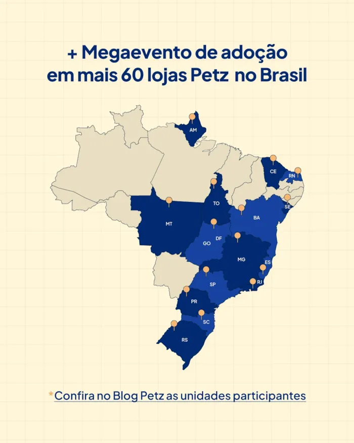 Feira de adoção em São Paulo celebra AdotePetz - imagem 3