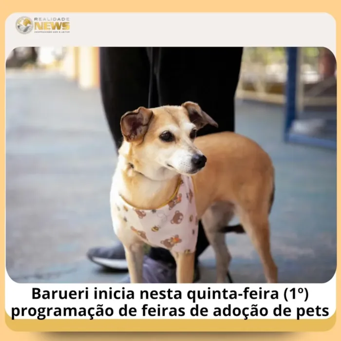 Feira de adoção em Barueri ocorre em 2 de outubro, das 10h às 15h, no Parque da Juventude, com cães e gatos disponíveis.