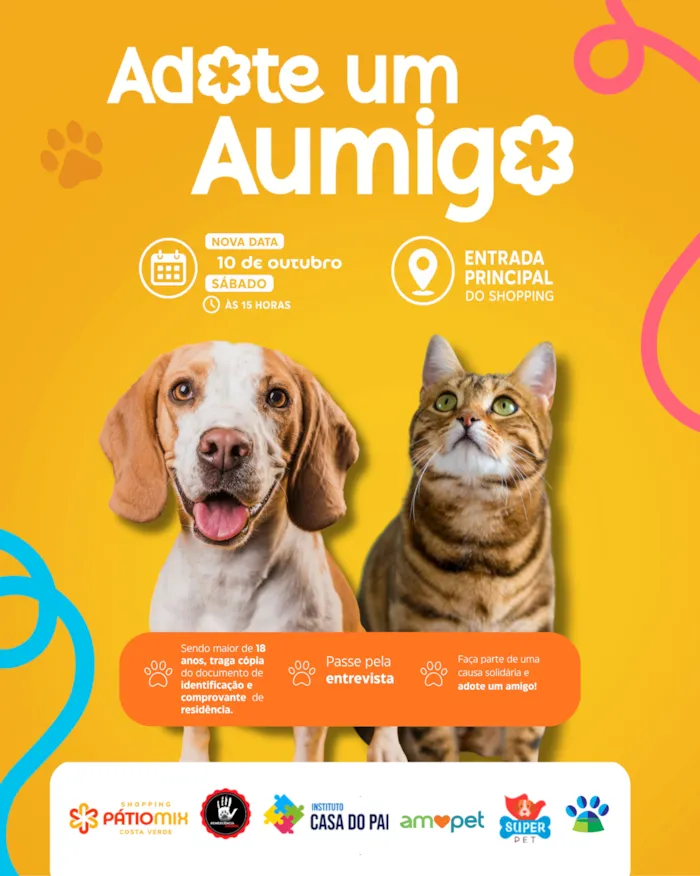 Feira de adoção em Itaguaí acontece em 10 de outubro, a partir das 15h, no PátioMix Costa Verde, com cães e gatos à espera de um lar.