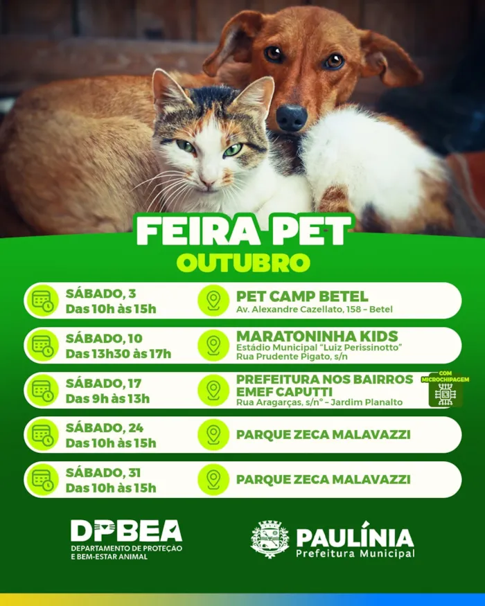 Feira Pet de adoção em Paulínia ocorre em 3 de outubro, das 10h às 15h, com cães e gatos disponíveis para adoção responsável.