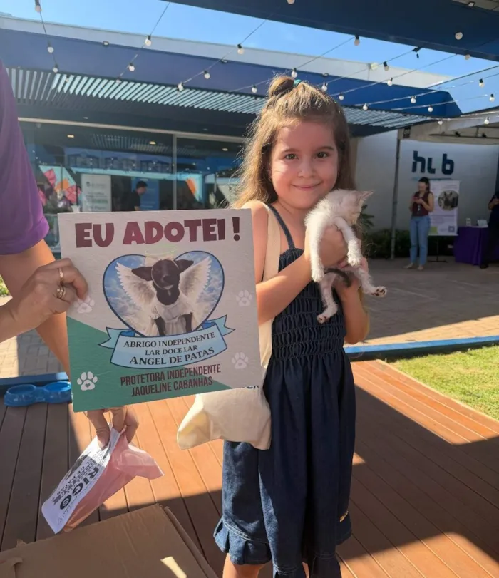 Feira de adoção em Campo Grande acontece em 3 de outubro, das 9h às 12h, com cães e gatos vacinados à espera de uma família.