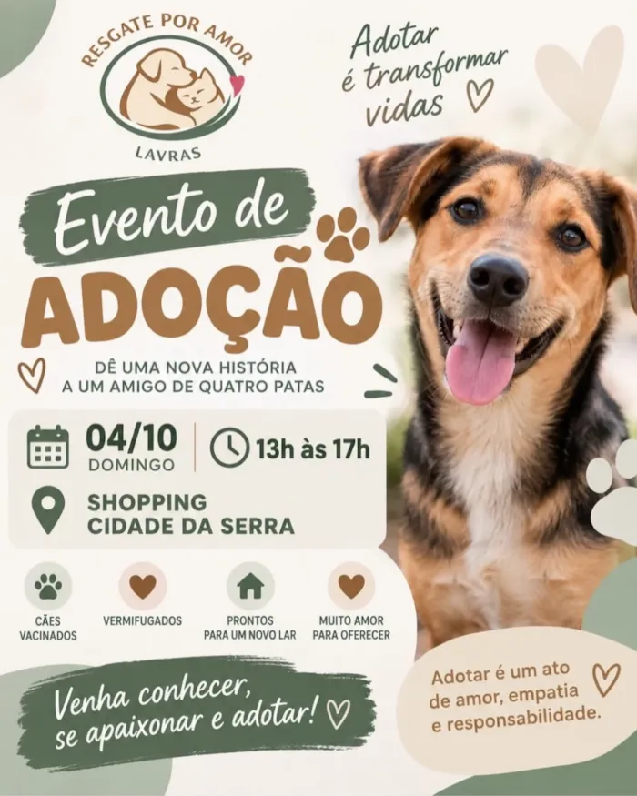 Campanha de adoção de cães neste domingo em Lavras - imagem 2
