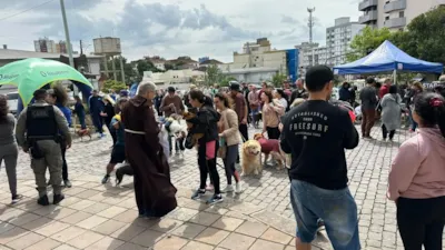 Bênção aos animais em Caxias do Sul: adoção de cães do canil municipal