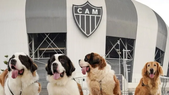 Evento Feira de adoção de cães neste sábado na Arena MRV em BH