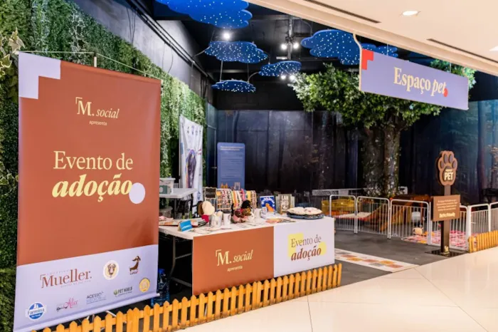 Evento de Adoção de cães e gatos em Curitiba no Shopping Mueller neste sábado, 3 de outubro, a partir das 9h. Conheça animais resgatados e contribua com a