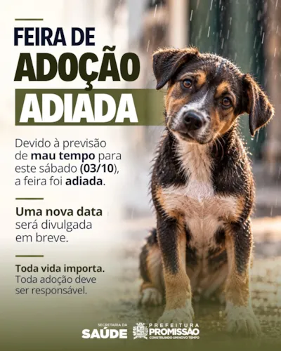 Feira de adoção de animais em Promissão é adiada