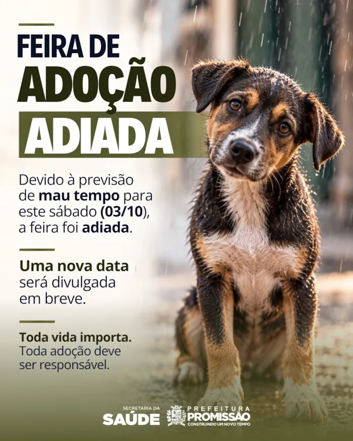 Feira de adoção em Promissão foi adiada de 3 de outubro por mau tempo; nova data será divulgada para encontrar um lar responsável aos animais.