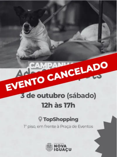 Campanha de adoção em Nova Iguaçu acontece em outubro