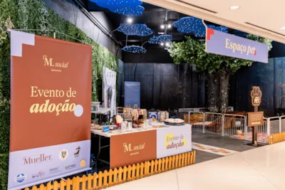 Evento de adoção de cães e gatos em Curitiba, PR