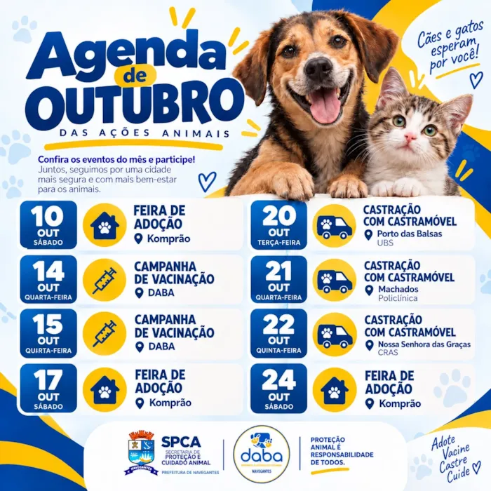 No dia 10 de outubro, o Komprão de Navegantes recebe feira com cães e gatos para adoção, à espera de uma família responsável.