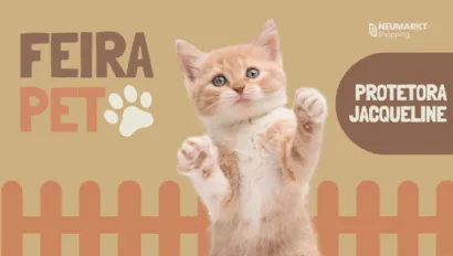 Feira de gatos para adoção acontece em Blumenau em 10 e 24 de outubro, das 14h às 18h, com animais em busca de um lar.