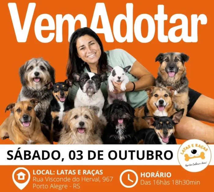 Feira reúne cães para adoção em Porto Alegre neste sábado, 3 de outubro, das 16h às 18h30, com filhotes e adultos à espera de um lar.