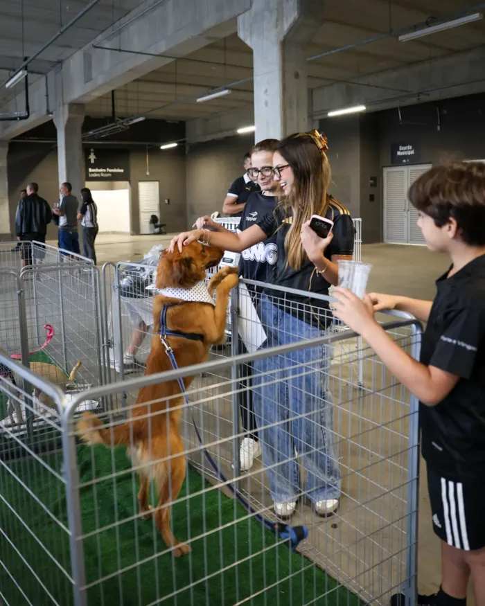 Feira de adoção na Arena MRV em Belo Horizonte - imagem 2