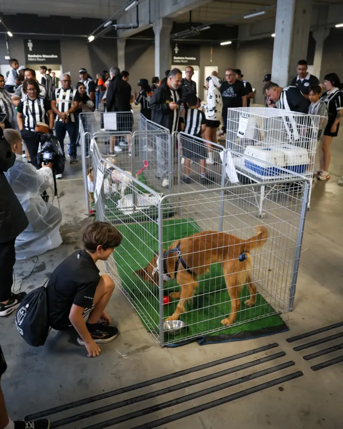 Feira de adoção na Arena MRV em Belo Horizonte - imagem 3
